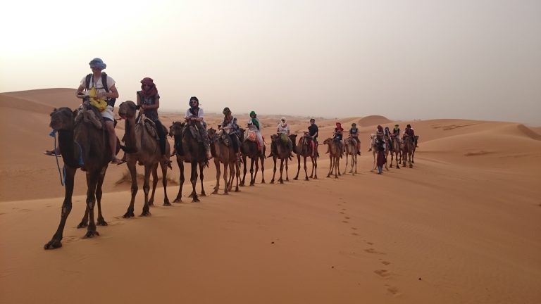 Incredible views of the Sahara Desert, which makes this tour from Marrakech a must do activity in Morocco.
