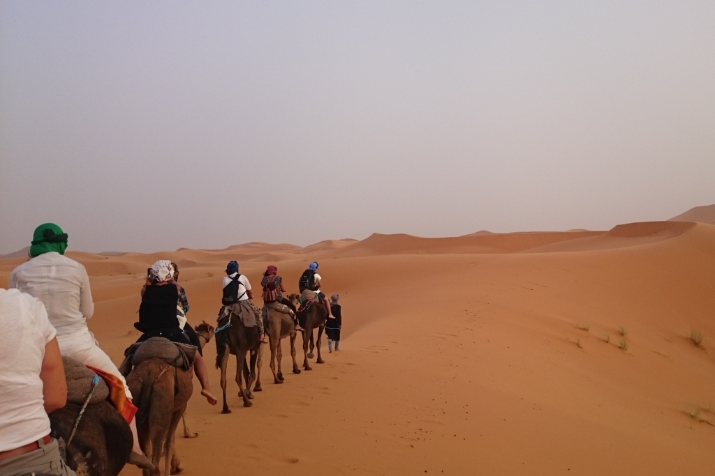 Camel riding through the Sahara Desert.