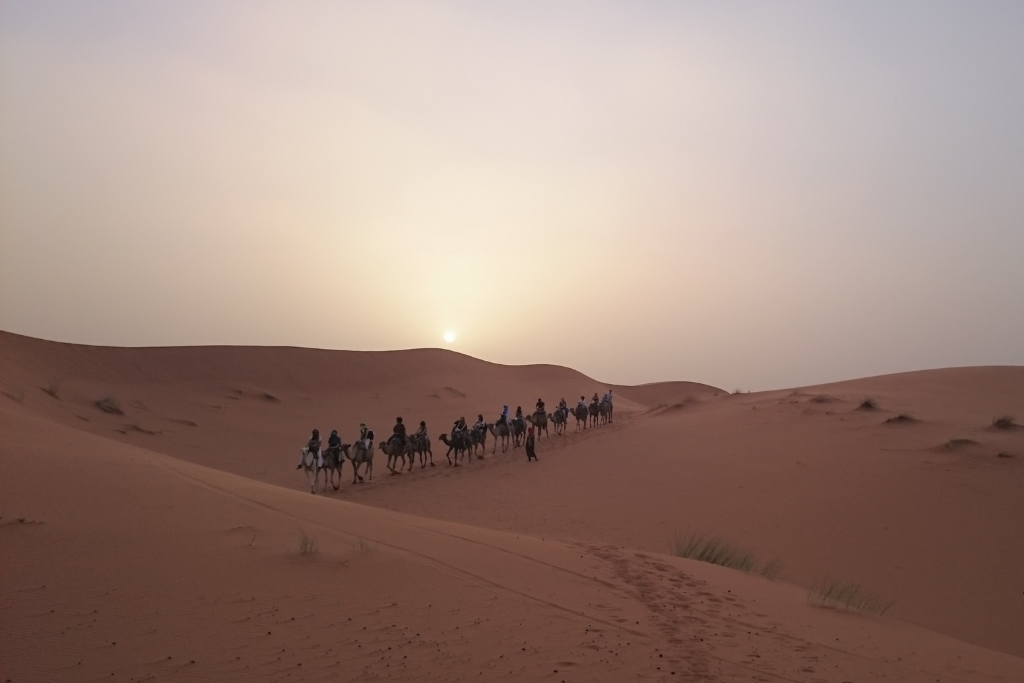 Sunset over the Erg Chebbi dunes in the Sahara Desert.