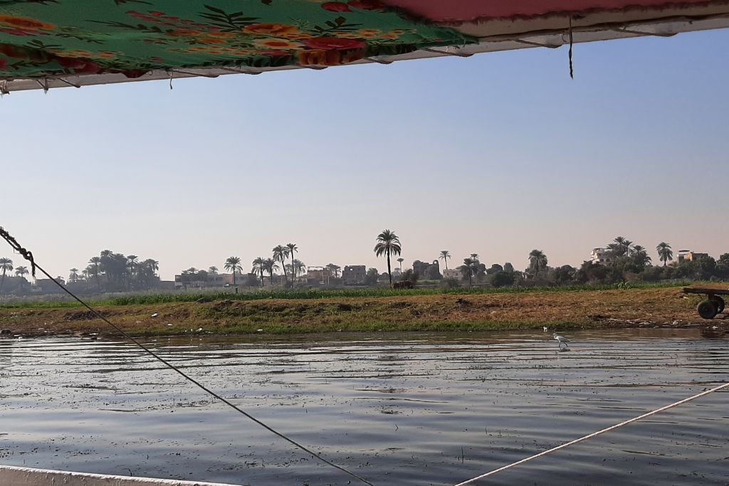 Wildlife and nature seen on the East Bank of the Nile on my felucca ride.