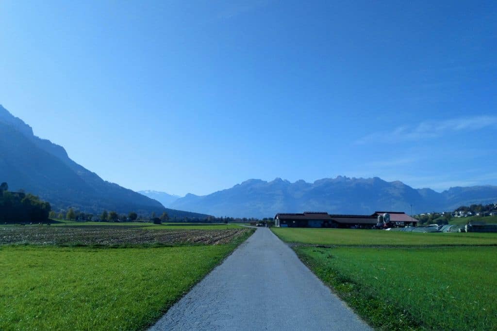 A hiking trail on the outskirts of Vaduz. 