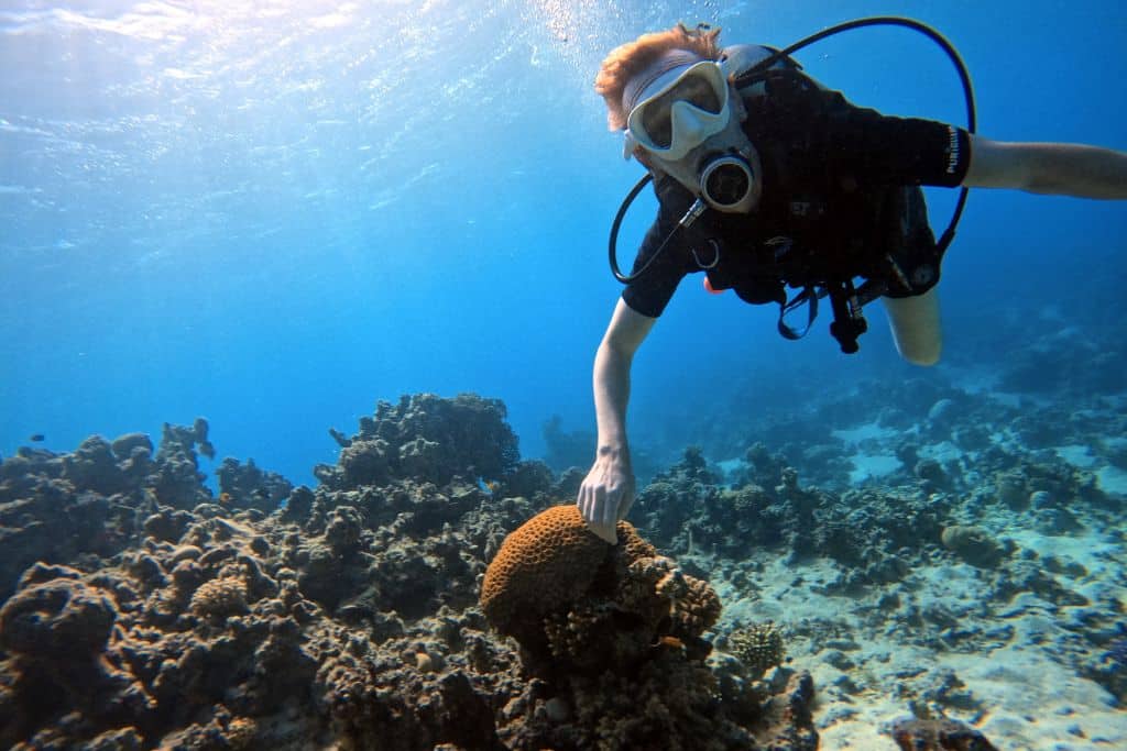 Scuba diving in the Red Sea - a highlight of my Jordan trip.