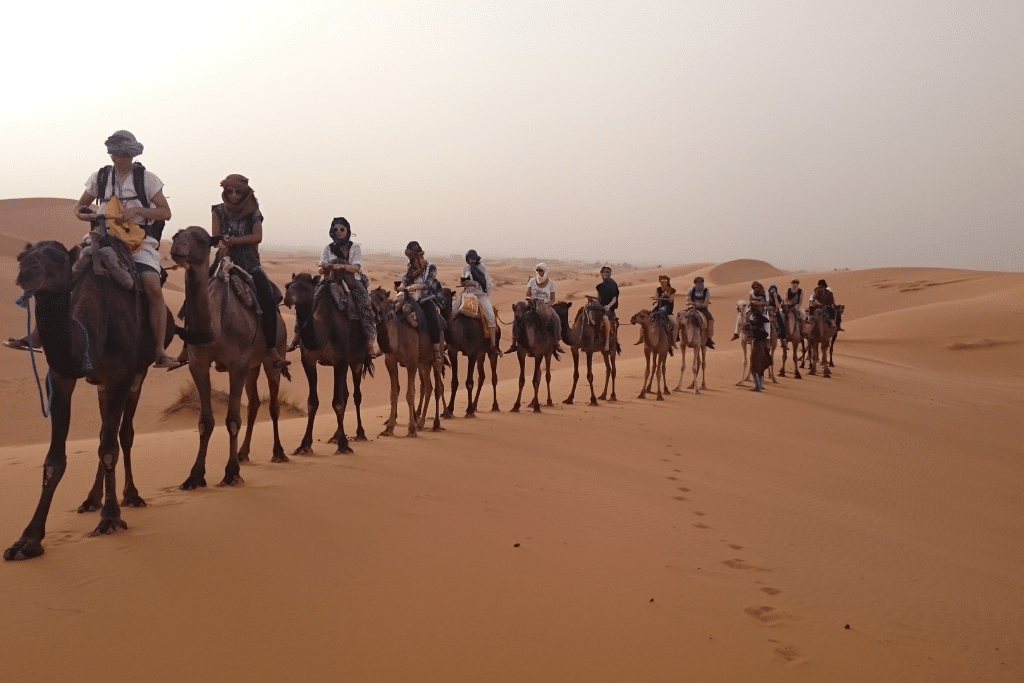 My unforgettable camel trek across the Sahara Desert.