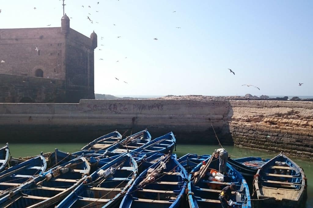 The unmissable blue fishing boats of Essaouira.